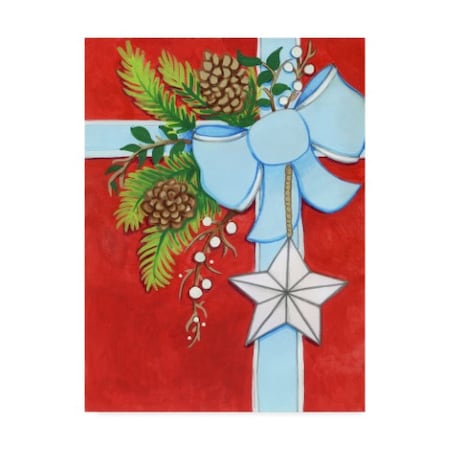Valarie Wade 'Barn Star Gift' Canvas Art,24x32